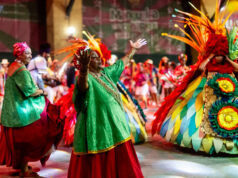 Agremiações do Rio Carnaval desfilam em comemoração ao Dia Nacional do Samba